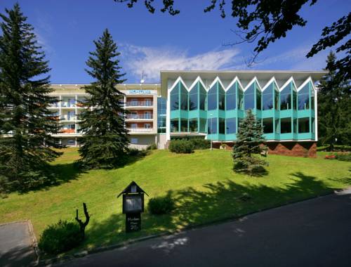 Imagen de la habitación del Hotel Interhotel Montana. Foto 2