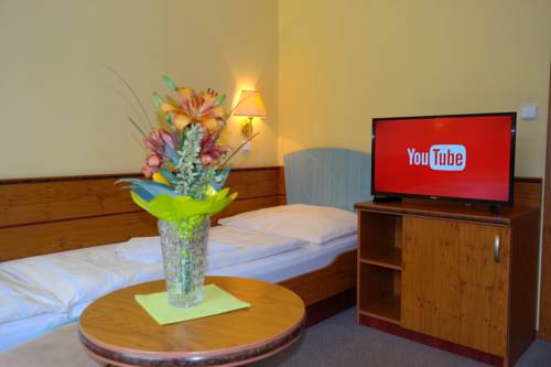 Imagen de la habitación del Hotel Interhotel Montana. Foto 3
