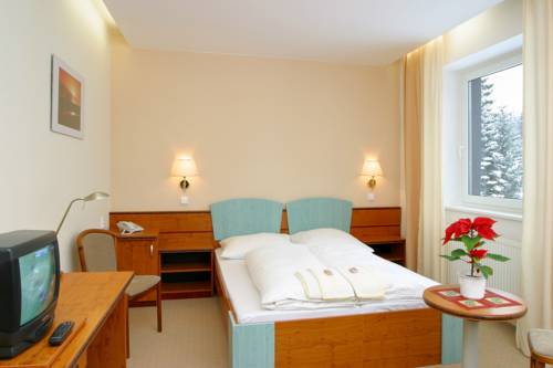 Imagen de la habitación del Hotel Interhotel Montana. Foto 4