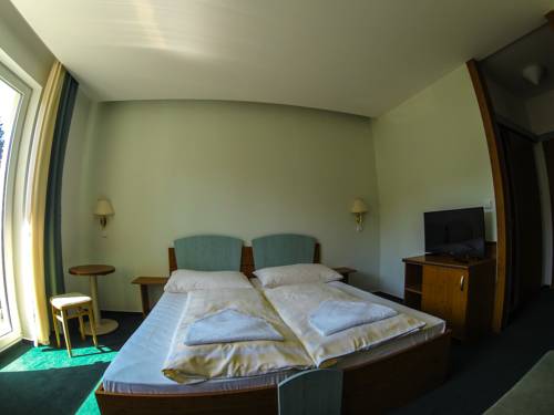 Imagen de la habitación del Hotel Interhotel Montana. Foto 7