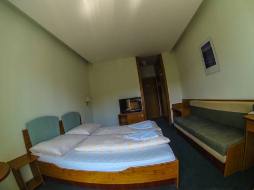 Imagen de la habitación del Hotel Interhotel Montana. Foto 8
