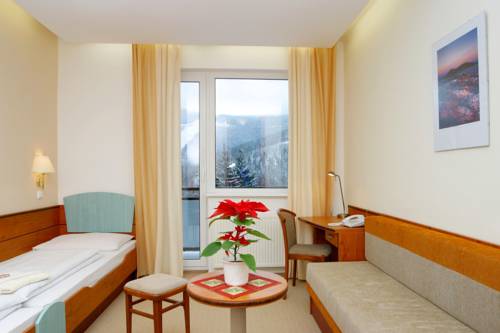 Imagen de la habitación del Hotel Interhotel Montana. Foto 12