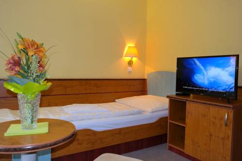 Imagen de la habitación del Hotel Interhotel Montana. Foto 13