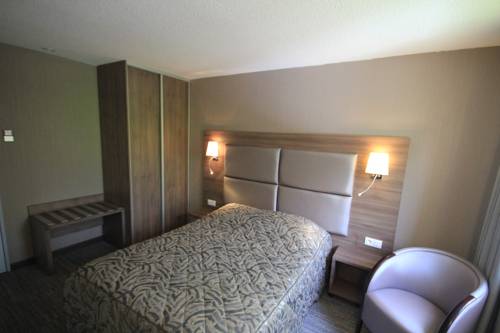 Imagen de la habitación del Hotel Inter-hotel Saint-avold Nord Aster. Foto 13