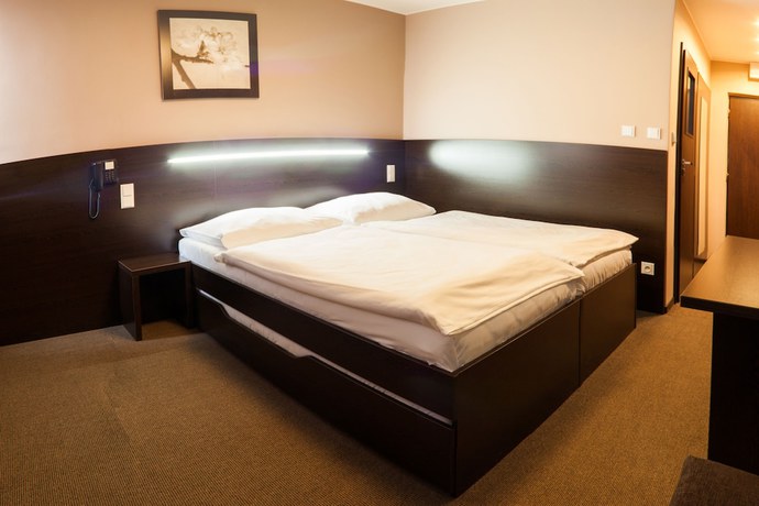 Imagen de la habitación del Hotel Interhotel Tatra. Foto 4