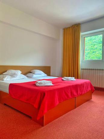 Imagen de la habitación del Hotel International, Băile Herculane. Foto 9