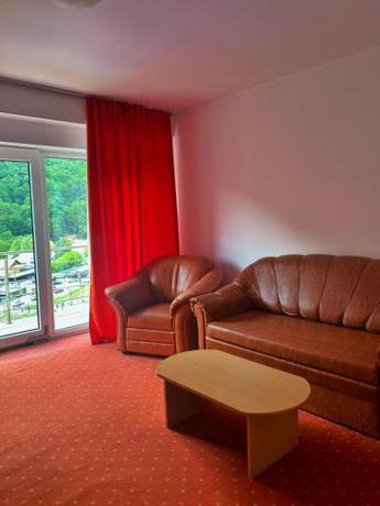 Imagen de la habitación del Hotel International, Băile Herculane. Foto 10