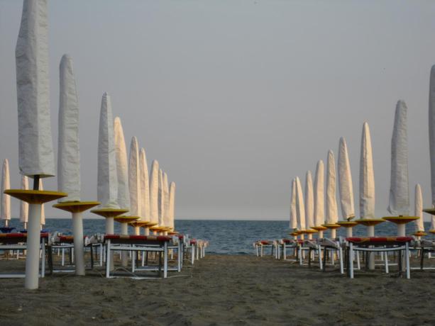 Imagen general del Hotel International, Cavallino-Treporti. Foto 10