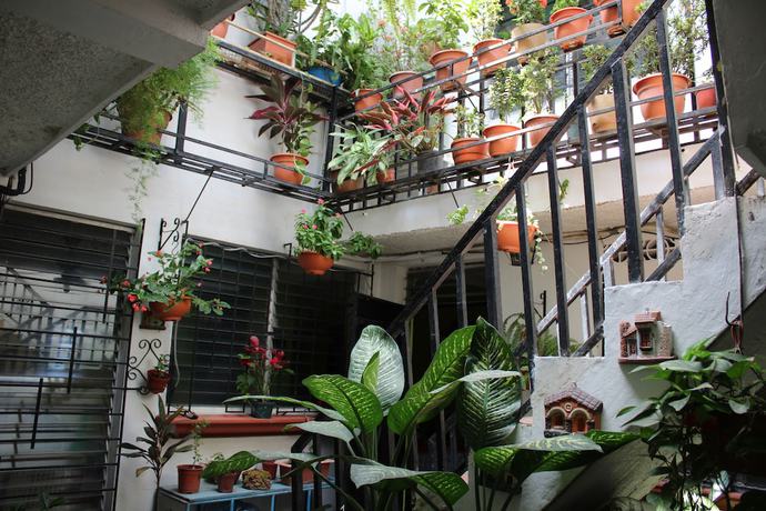 Imagen de los interiores del Hotel International Guest House. Foto 10