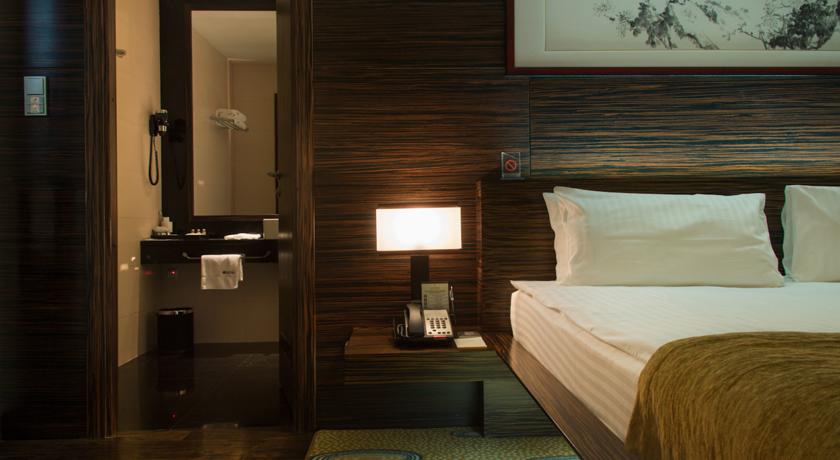 Imagen de la habitación del Hotel International Sayen. Foto 8