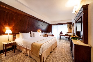 Imagen de la habitación del Hotel International Sinaia. Foto 15