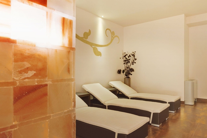 Imagen de la piscina del Hotel Internazionale Bellinzona. Foto 16