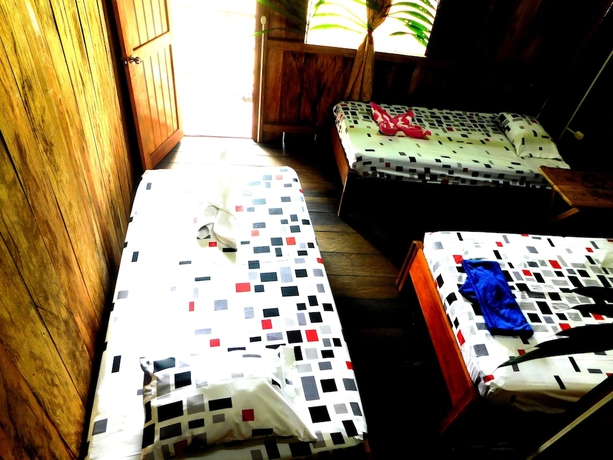 Imagen de la habitación del Hotel Intillama Jungle Lodge. Foto 15