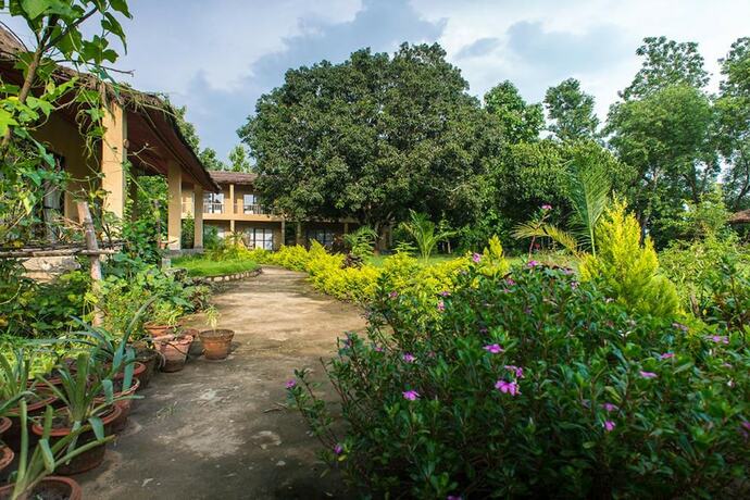 Imagen general del Hotel Into The Wild Eco Resort. Foto 9