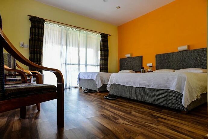 Imagen de la habitación del Hotel Into The Wild Eco Resort. Foto 20