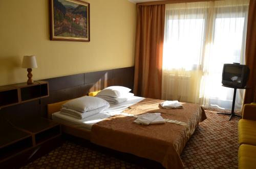 Imagen de la habitación del Hotel Intourist-Zakarpattia. Foto 6