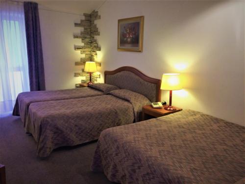 Imagen de la habitación del Hotel Intra. Foto 10