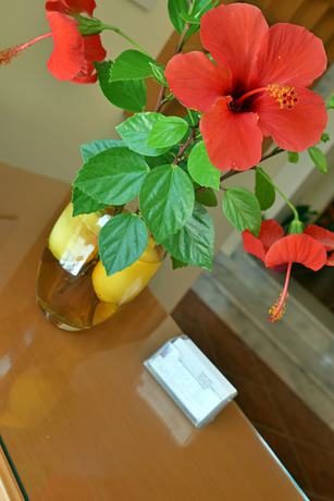Imagen de los interiores del Hotel Iolkos Apartments. Foto 17