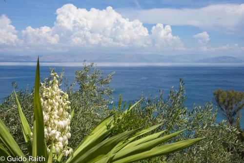 Imagen general del Hotel Ionian Sea View Studios byius. Foto 7