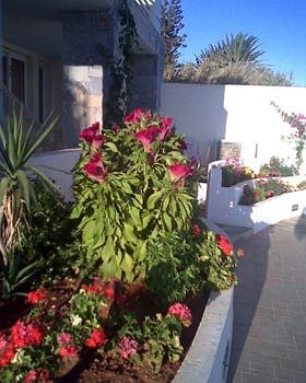 Imagen de la habitación del Hotel Ionio Star. Foto 4