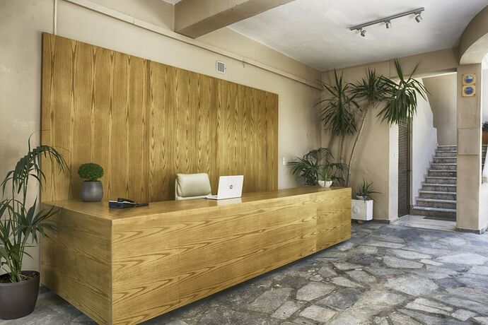 Imagen general del Hotel Ipsos Holidays. Foto 11