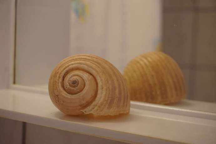 Imagen de la habitación del Hotel Iraklis. Foto 3