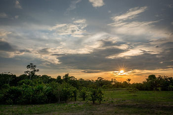 Imagen de los exteriores del Hotel Irapay Amazon Lodge. Foto 10