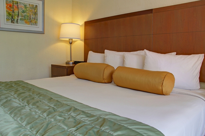 Imagen de la habitación del Hotel Irazu and Studios. Foto 7