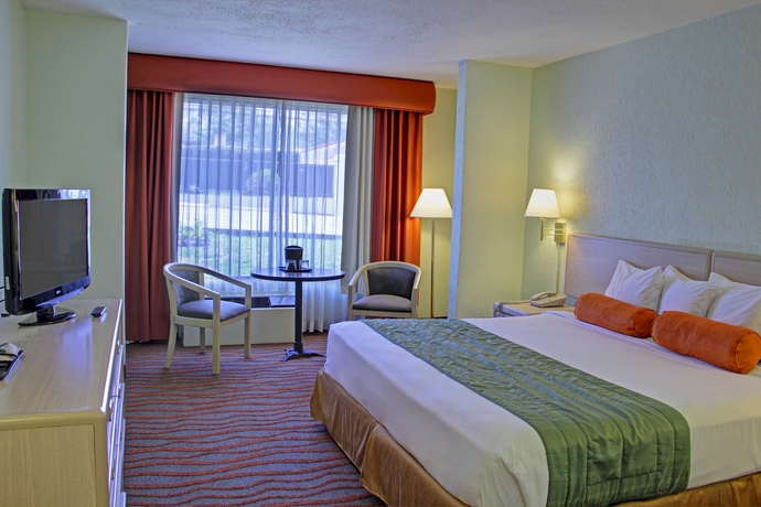 Imagen de la habitación del Hotel Irazu and Studios. Foto 13