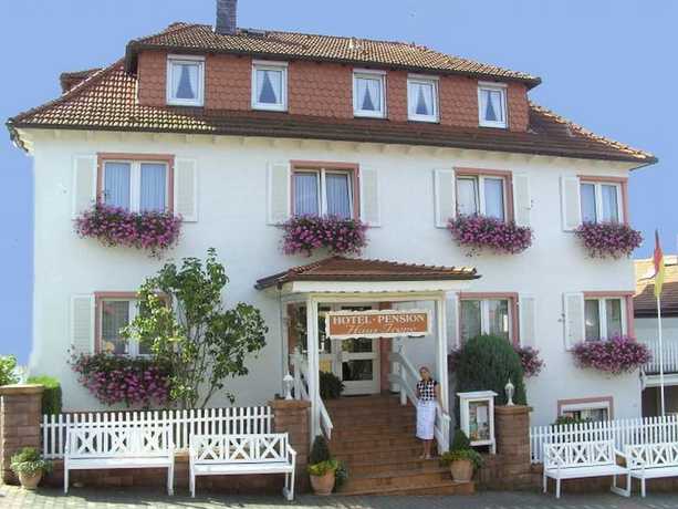 Imagen general del Hotel Irene, Bad König. Foto 1