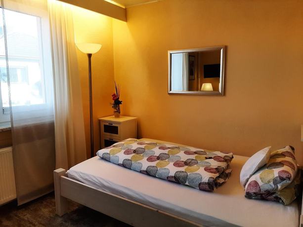 Imagen de la habitación del Hotel Irene, Bad König. Foto 9