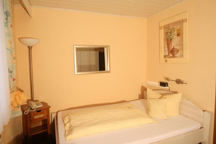 Imagen de la habitación del Hotel Irene, Bad König. Foto 12