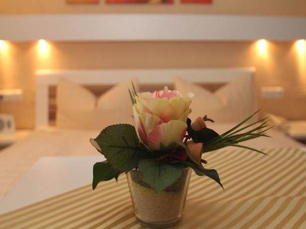 Imagen de la habitación del Hotel Irene, Bad König. Foto 14