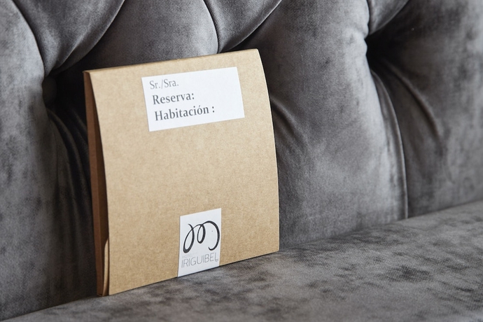 Imagen de los interiores del Hotel Iriguibel. Foto 19