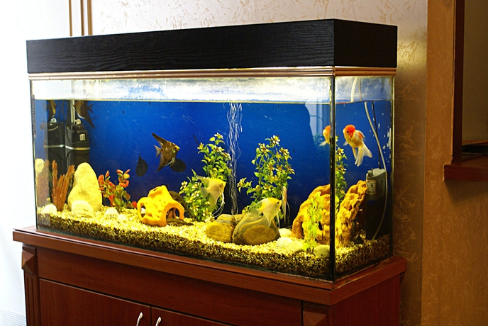 Imagen de los interiores del Hotel Irina. Foto 14