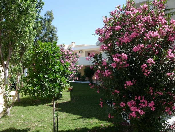 Imagen de los exteriores del Hotel Iris, AFANTOU. Foto 13