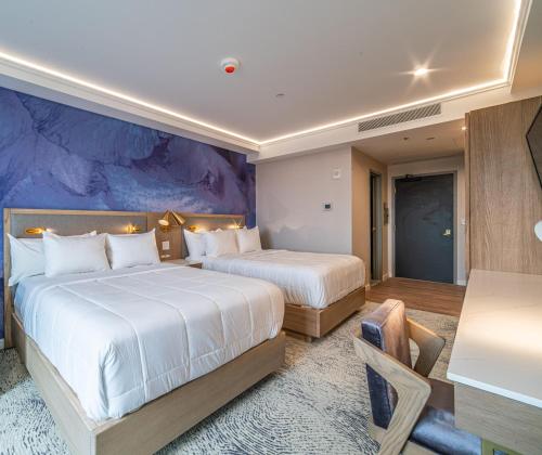 Imagen de la habitación del Hotel Iris Boston. Foto 16