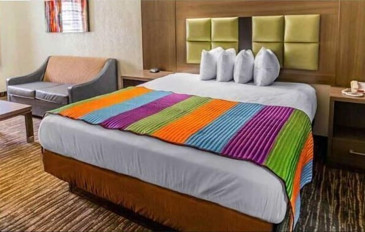 Imagen general del Hotel Iris Garden Inn. Foto 12