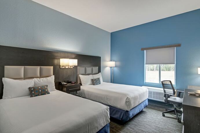 Imagen de la habitación del Hotel Iris Garden Inn. Foto 19