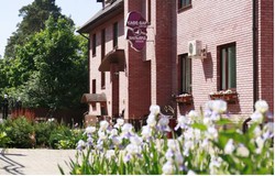 Imagen general del Hotel Iris Hotel. Foto 3