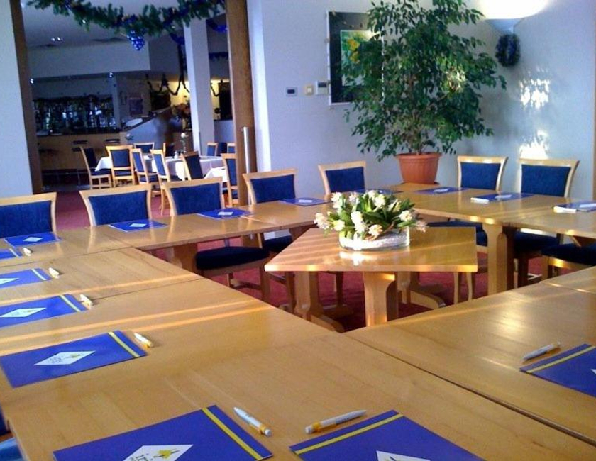 Imagen general del Hotel Iris, Oradea. Foto 12