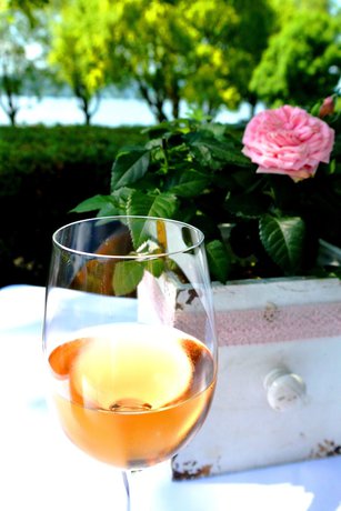 Imagen de los exteriores del Hotel Iris am See. Foto 16