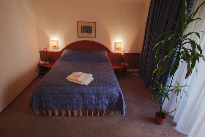 Imagen de la habitación del Hotel Irisa. Foto 10