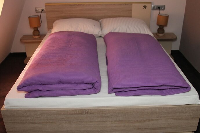 Imagen de la habitación del Hotel Irish. Foto 7