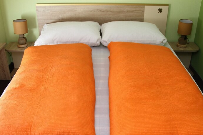 Imagen de la habitación del Hotel Irish. Foto 9