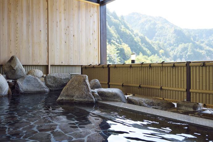 Imagen general del Hotel Iruka Onsen Seiryuusou. Foto 2