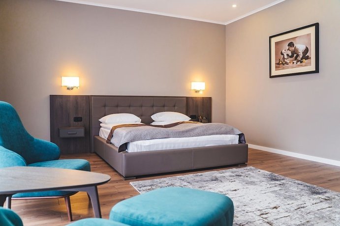 Imagen de la habitación del Hotel Irys by Derenivska Kupil. Foto 9