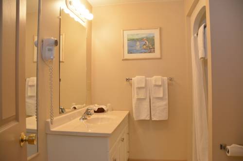 Imagen de la habitación del Hotel Isaiah Tubbs Resort and Conference Centre. Foto 6