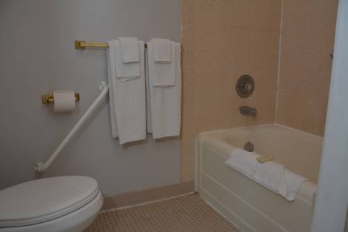 Imagen de la habitación del Hotel Isaiah Tubbs Resort and Conference Centre. Foto 11