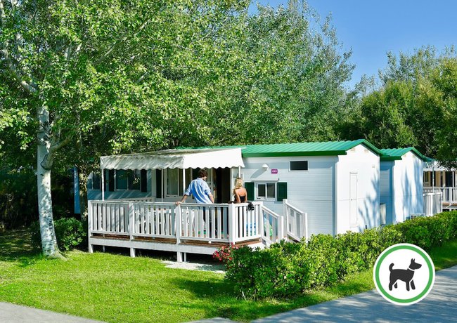 Imagen de la habitación del Hotel Isamar Holiday Village. Foto 2